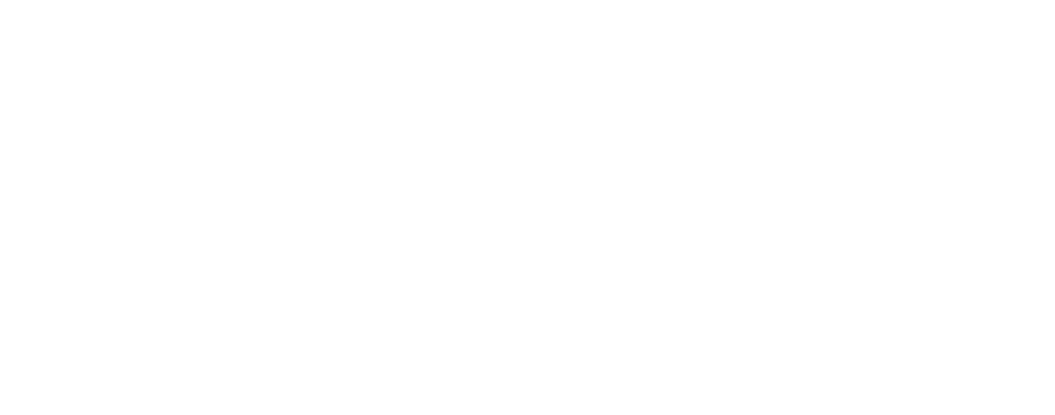 Miami Heat_white.png